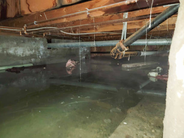 Long Valley, NJ Water damage restoration Pros