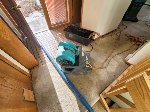 Best Water damage restoration near me  in Long Valley, NJ