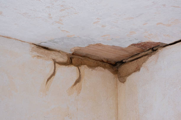 Best Carpet water damage restoration  in Long Valley, NJ