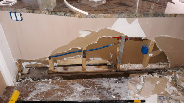 Best Local water damage restoration  in Long Valley, NJ