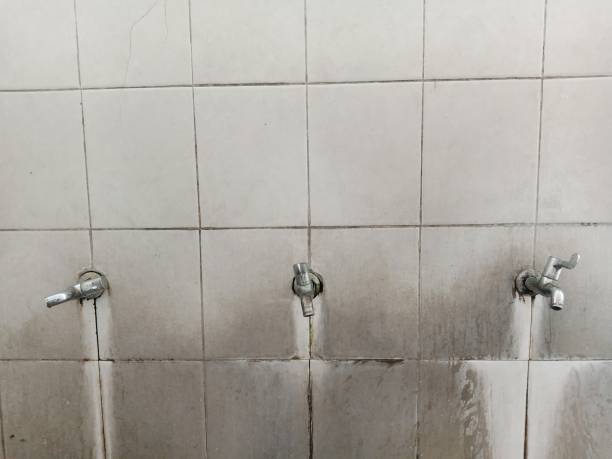 Best Sewage cleanup and water damage restoration  in Long Valley, NJ