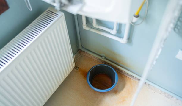 Best Basement water damage restoration  in Long Valley, NJ