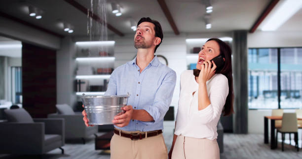 Best Water damage restoration specialists  in Long Valley, NJ